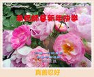 ֹ,󷨵ӹףʦ(22)