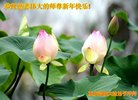 ֹ,󷨵ӹףʦ(25)