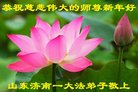 ֹ,ϴ󷨵ӹףʦ(24)