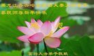 ֹ,󷨵ӹףʦ(20)