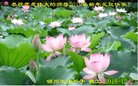 ֹ,ݴ󷨵ӹףʦ(23)