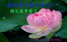 ֹ,󷨵ӹףʦ(19)
