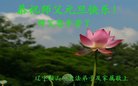 ֹ,󷨵ӹףʦ(19)