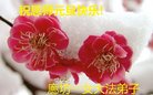 ֹ,ȷ󷨵ӹףʦ(19)
