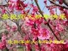 ֹ,󷨵ӹףʦ(23)