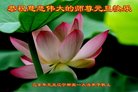 ֹ,󷨵ӹףʦ(21)
