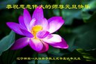ֹ,󷨵ӹףʦ(21)