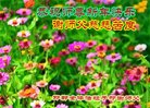 ֹ,ӱ󷨵ӹףʦ(25)
