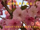 ֹ,󷨵ӹףʦ(22)