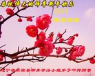 ֹ,󷨵ӹףʦ(19)