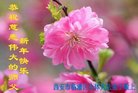 ֹ,󷨵ӹףʦ(22)