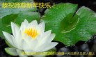 ֹ,󷨵ӹףʦ(23)