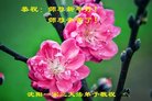 ֹ,󷨵ӹףʦ(20)