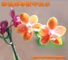 ֹ,󷨵ӹףʦ(20)