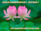 ֹ,ϴ󷨵ӹףʦ(24)