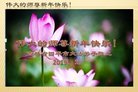 ֹ,ʡ󷨵ӹףʦ(23)