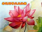 ֹ,󷨵ӹףʦ(24)