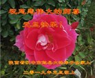 ֹ,󷨵ӹףʦ(19)