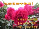 ֹ,󷨵ӹףʦ(19)
