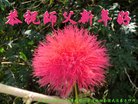 ֹ,󷨵ӹףʦ(24)