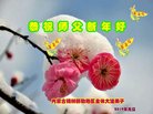ֹ,ɹŴ󷨵ӹףʦ(23)