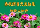 ֹ,󷨵ӹףʦ(20)