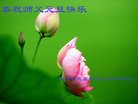 ֹ,󷨵ӹףʦ(20)