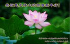 ֹ,󷨵ӹףʦ(23)