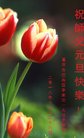 ֹ,󷨵ӹףʦ(26)