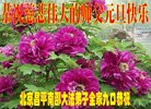 ֹ,󷨵ӹףʦ(23)