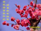 ֹ,д󷨵ӹףʦ(24)