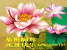 ֹ,󷨵ӹףʦ(24)