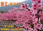 ֹ,󷨵ӹףʦ(24)
