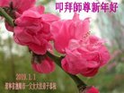 ֹ,󷨵ӹףʦ(24)
