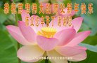 ֹ,󷨵ӹףʦ(21)
