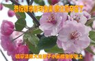 ֹ,󷨵ӹףʦ(20)