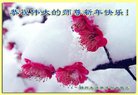 ֹ,ݴ󷨵ӹףʦ(23)