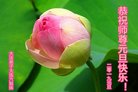 ֹ,󷨵ӹףʦ(21)
