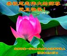 ֹ,󷨵ӹףʦ(21)