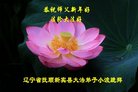 ֹ,󷨵ӹףʦ(20)