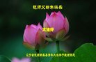 ֹ,󷨵ӹףʦ(20)