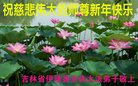 ֹ,ʡ󷨵ӹףʦ(21)
