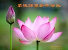ֹ,ʴ󷨵ӹףʦ(30)