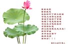 ֹ,ݴ󷨵ӹףʦ(21)