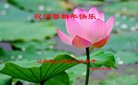 ֹ,󷨵ӹףʦ(24)