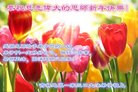ֹ,ʡ󷨵ӹףʦ(21)