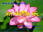 ֹ,żҿڴ󷨵ӹףʦ(20)