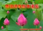 ֹ,󷨵ӹףʦ(24)