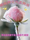 ֹ,ӱ󷨵ӹףʦ(18)