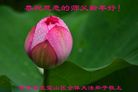 ֹ,ɹŴ󷨵ӹףʦ(29)